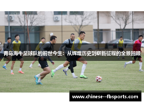 青岛海牛足球队的前世今生:从辉煌历史到崭新征程的全景回顾 青岛海牛足球队的前世今生:从辉煌历史到崭新征程的全景回顾
