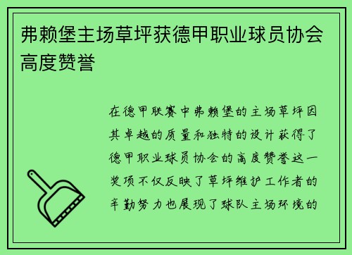 弗赖堡主场草坪获德甲职业球员协会高度赞誉 弗赖堡主场草坪获德甲职业球员协会高度赞誉